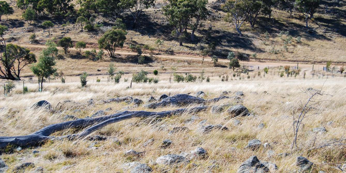 Habitat assets, Jacqui Stol