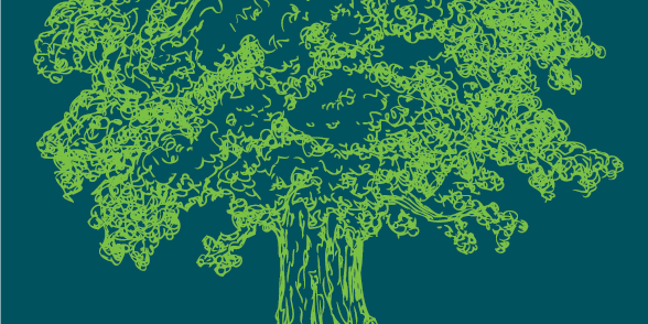 Landcare in your School