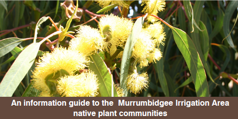 MIA Native Plant Guide