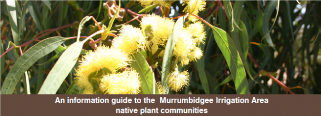 MIA Native Plant Guide