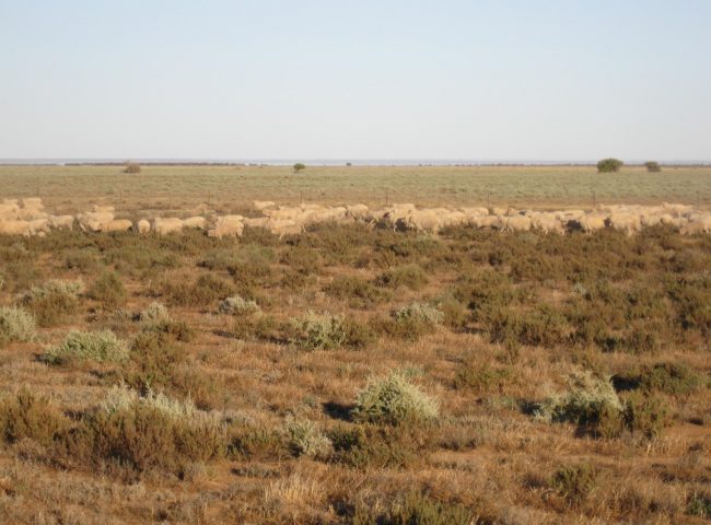Rangelands forum, Ian Auldist