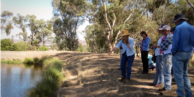 Alison Elvin – Frogs on Farms workshop