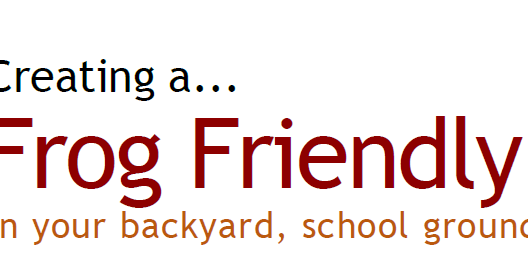 Frog Friendly Habitat