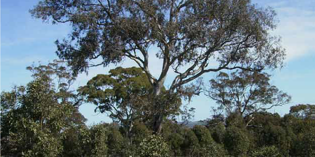 Guide to managing BGGW