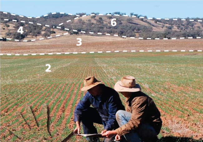 Land and soil capability