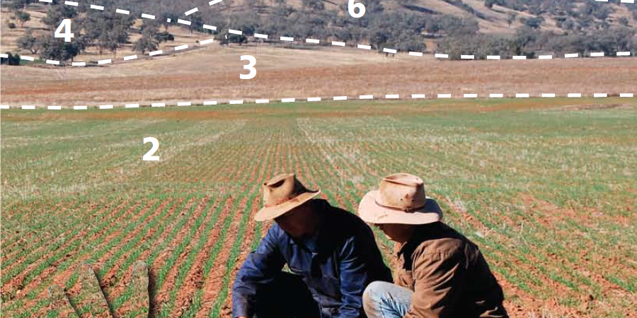 Land and soil capability