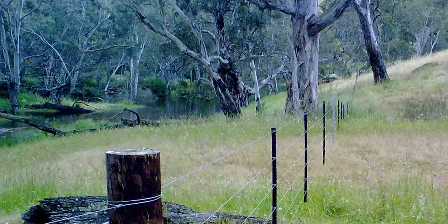 Riparian fencing