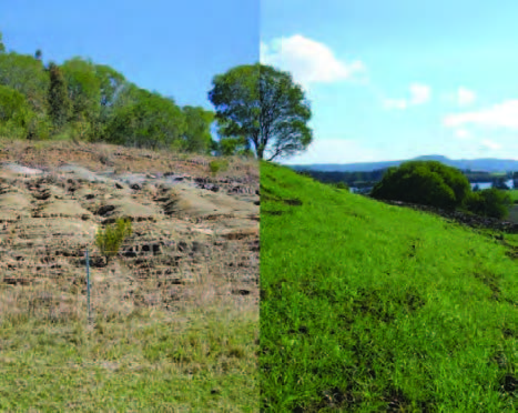 Saving soil