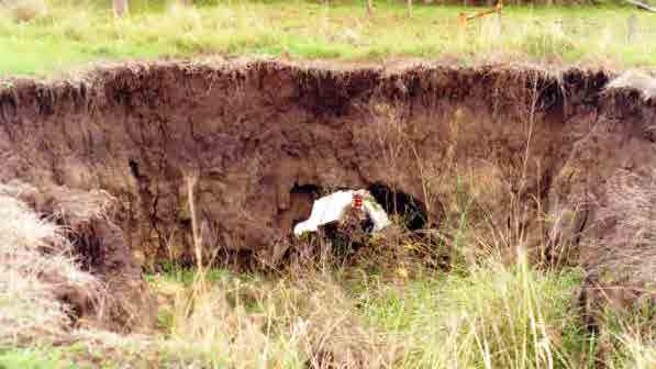 Understanding dispersive soils