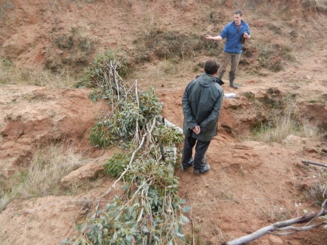 Case Study 06 – Slow the Flow