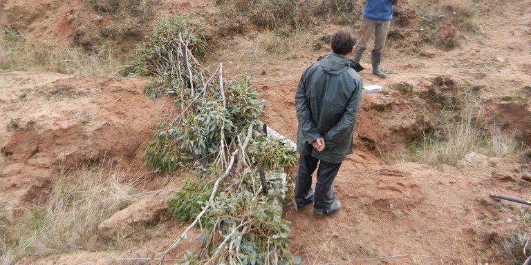 Case Study 06 – Slow the Flow