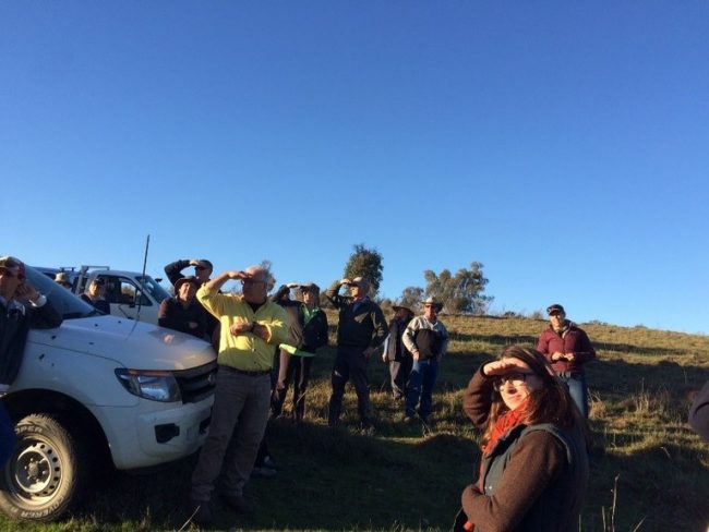 Case Study 08 – Tarcutta Landcare Rejuvenation