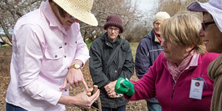 Case Study 14 – Shaping Up with Landcare