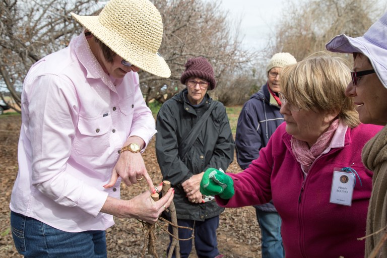 Case Study 14 - Shaping up with Landcare