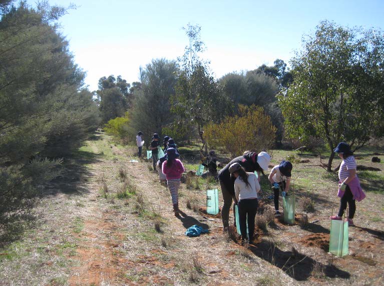 Case Study 26 - 20th Anniversary Tree Planting in Narrandera