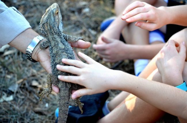 Case Study 34 – Small Schools – Big Impact