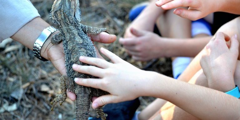 Case Study 34 – Small Schools – Big Impact