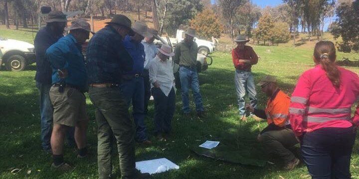 Pest Masterclass Case Study