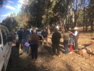 Case Study 44 - Silverleaf Nightshade Control Workshops