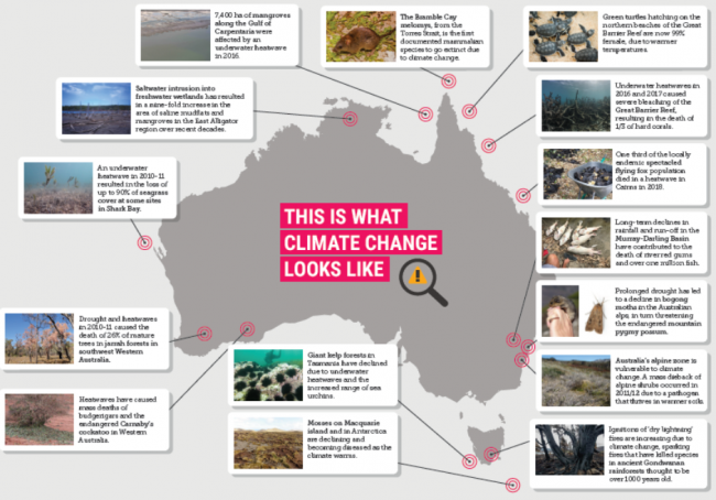 climate