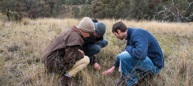 Stuart Raylene Nigel