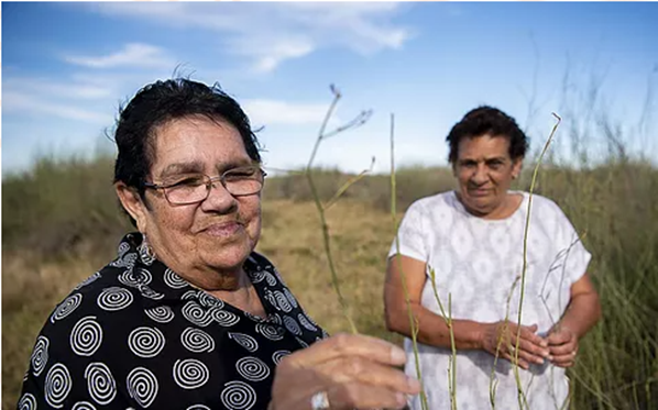 Indigenous Land Management Champion