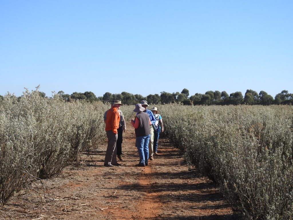 Landcare Farming Champion