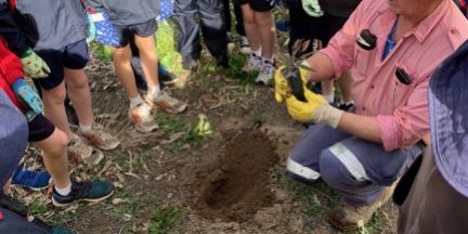 thumbnail_IMG_0690ii