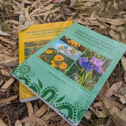 PXL_20251117_005614311.RAW-01.MP.COVER