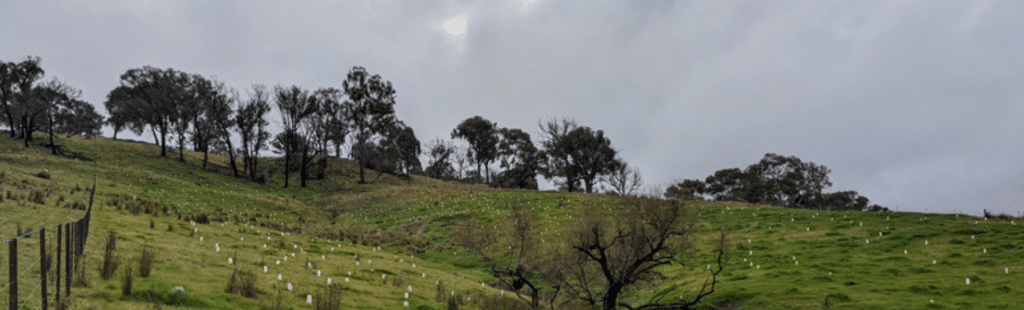 Landcare-led Resilience Project