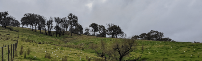 Landcare-led resilience