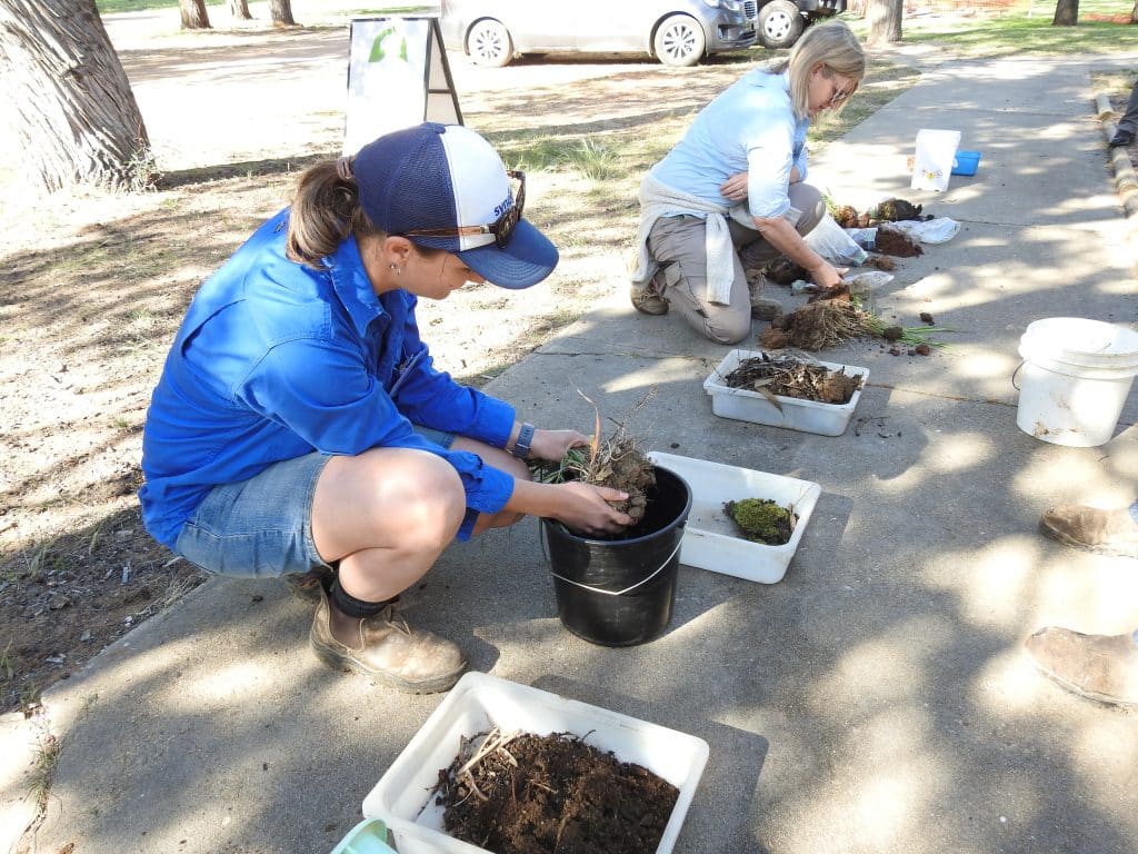 The value of healthy soil