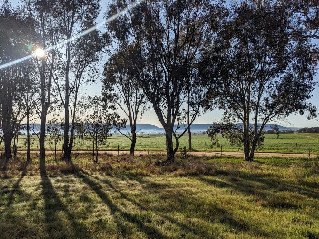 Understanding your farm landscape - Temora