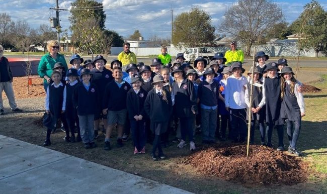 Hay Celebrates National School’s Tree Day