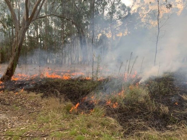 Hotspots Fire Project