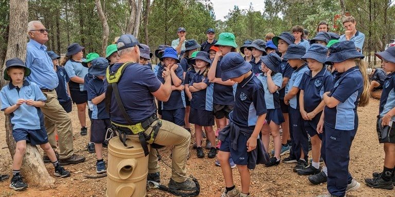 Nesting boxes installed near Kindra Forest