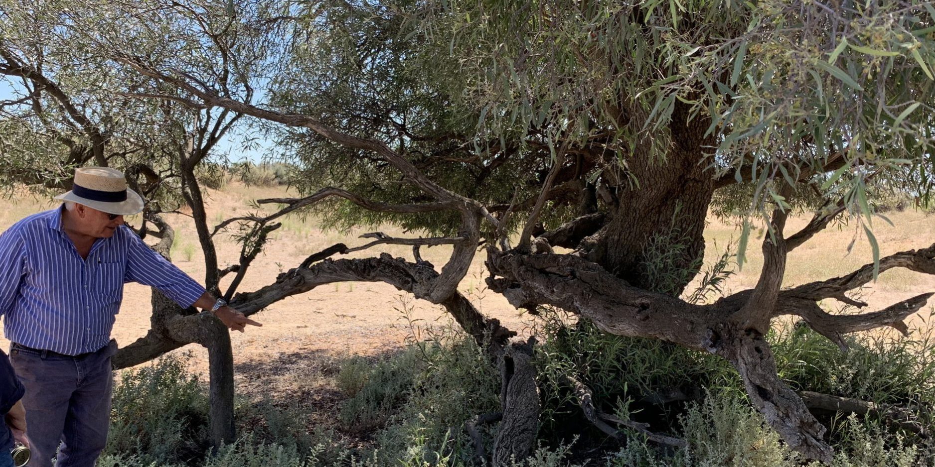 2023-03-15 12-51-19 Western Riverina Seed Workshop