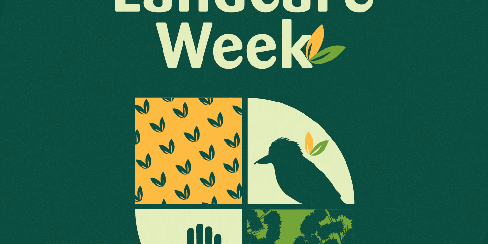 FA-Landcare-Week-2024-Landcare_Social-tile-1