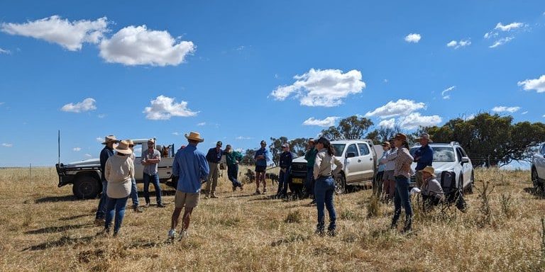 Case Study 1-5 Young District Grazing Group Start-Up