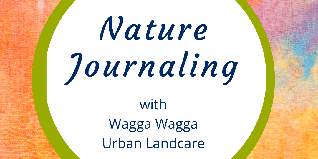 Nature Journaling – Artwork