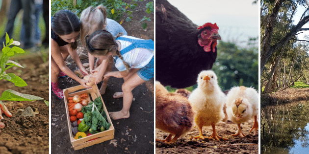 Youn Enviro – banner image