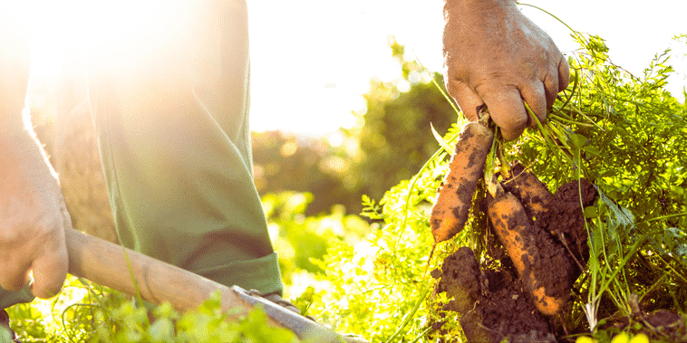 premotion-logo-1-e1732772031402