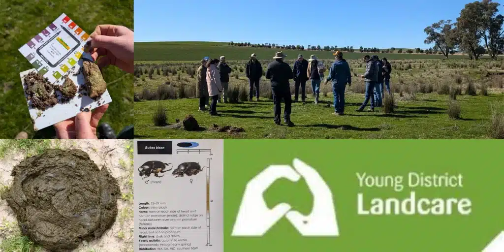 Dung Beetle and Grazing Workshop - Harden