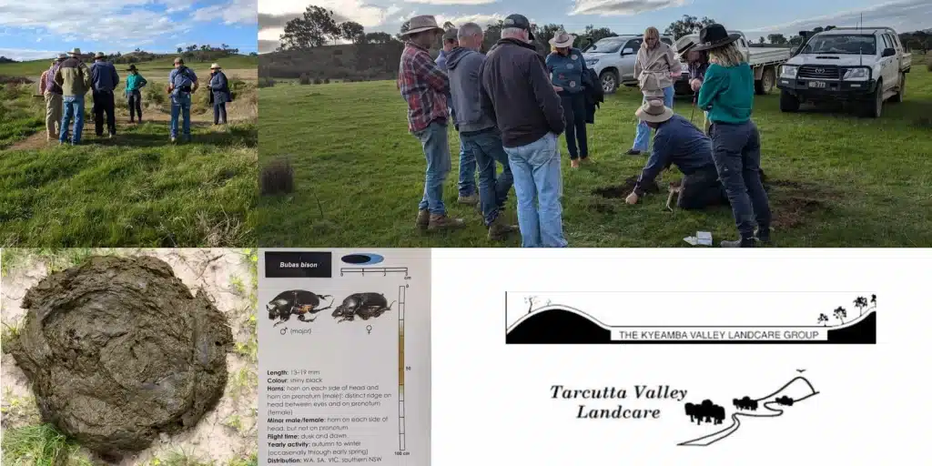 Dung Beetle & Sessional Update Workshop