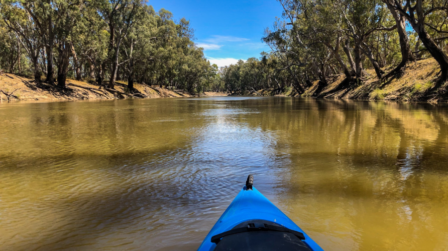 Blooming Connections - Fishing