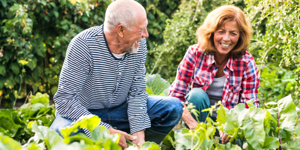 Blooming Connections - Connecting Seniors Program 2025