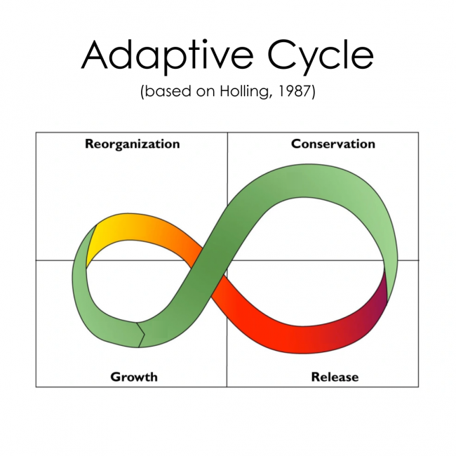 Adaptive cycle
