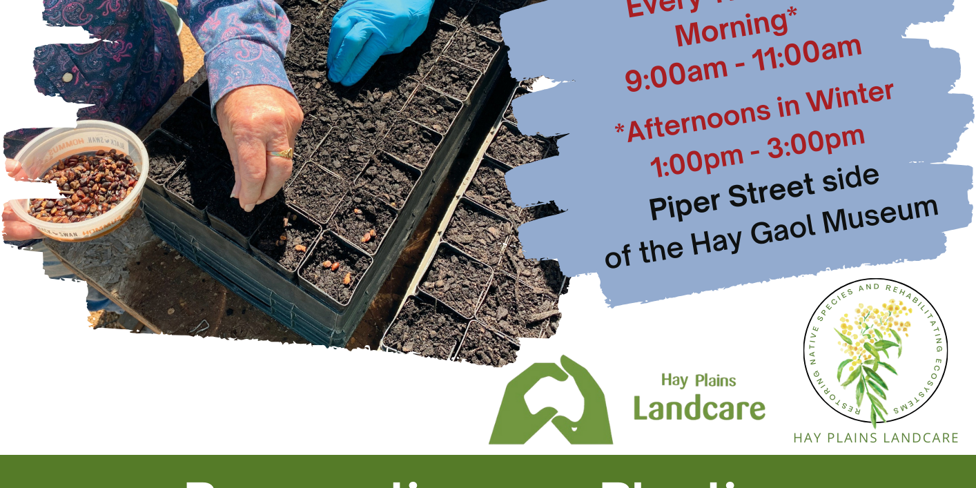 Landcare Alive inc Winter