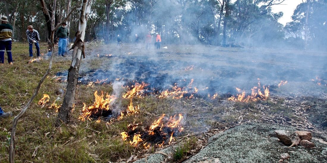 creeping-fire-lores_orig (1)