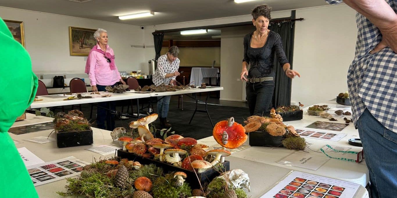 Conversion to jpeg (6)